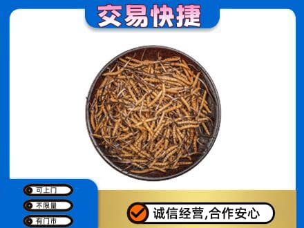 嘉兴回收散虫草